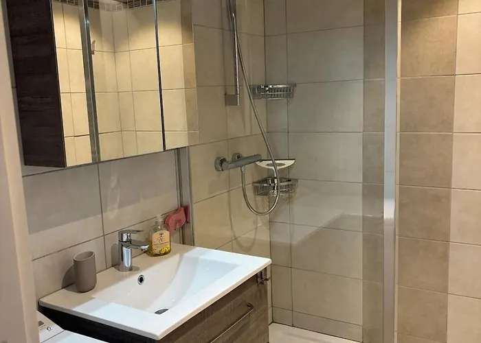 30 M2, Le Diamant Au Centre De La Station, A Cote Des Commerces, Restaurants Et Remontees Mecaniques -menage Compris Les Deux Alpes